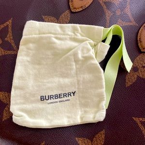 Burberry belt bag